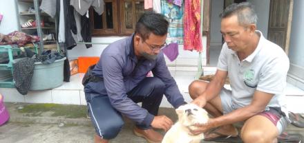 Vaksinasi Rabies Anjing Milik Warga Di Desa Menyali